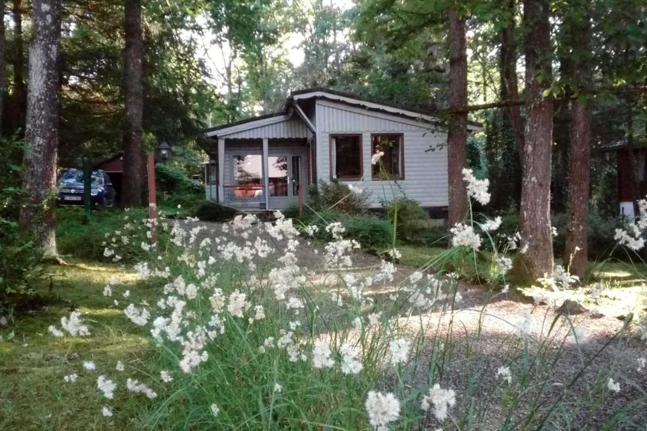 Chalet Siesta Is Rust & Natuur In Durbuy - Barvaux-Sur-Ourthe Eksteriør billede