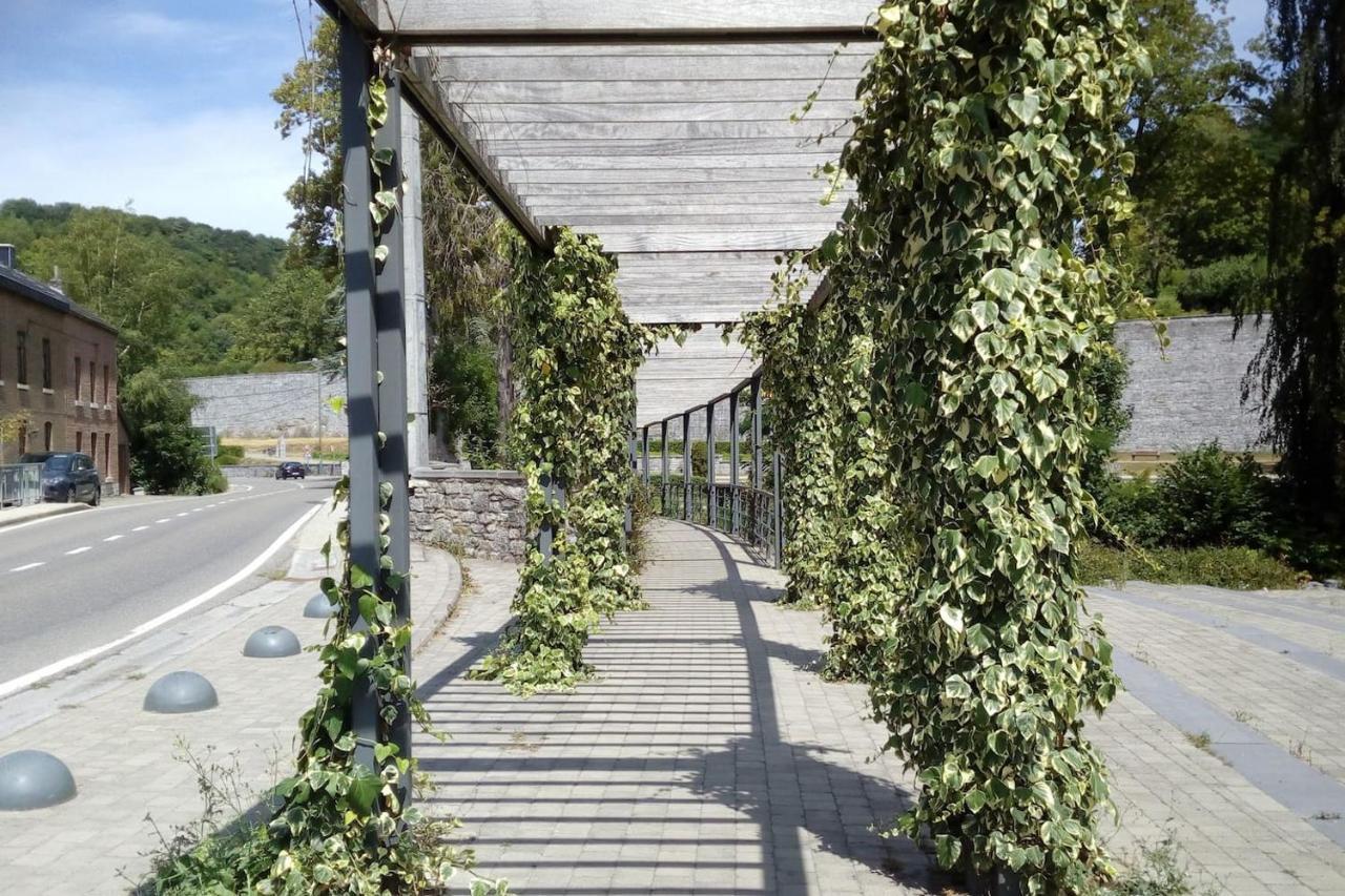 Chalet Siesta Is Rust & Natuur In Durbuy - Barvaux-Sur-Ourthe Eksteriør billede